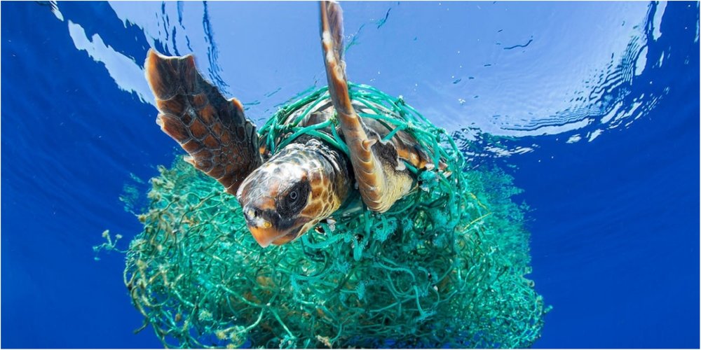 Are You Contributing To The Great Pacific Garbage Patch? Here is The