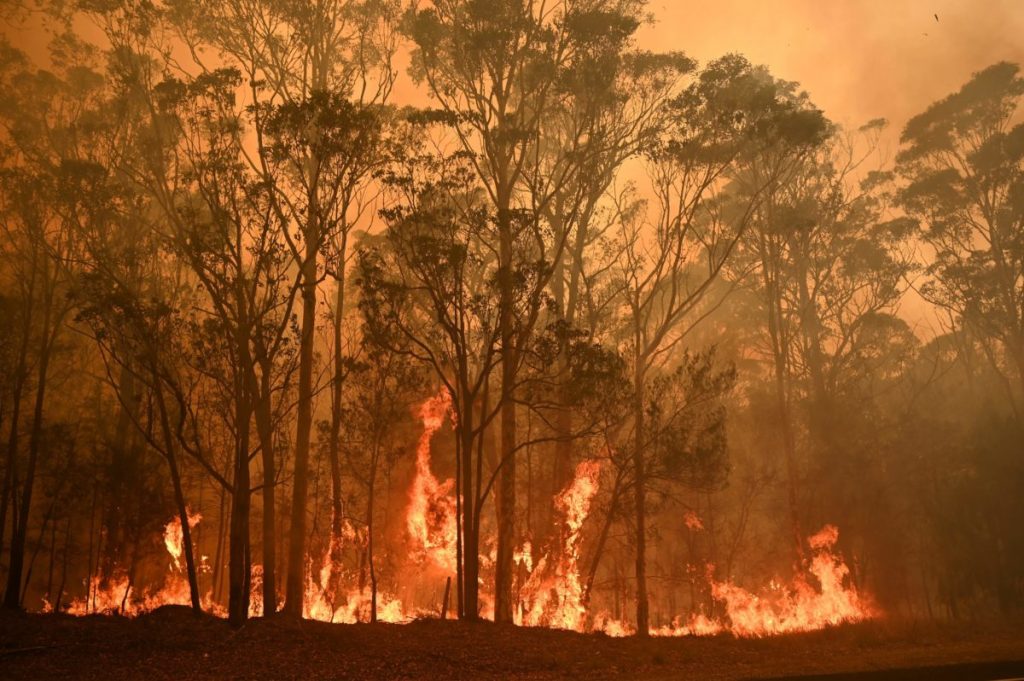 5 Must Know Facts About The Devastating Australian Bush Fire